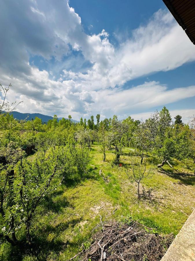 Sheen Homestay Gulmarg Exteriér fotografie