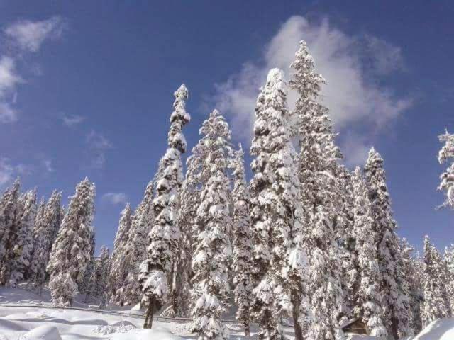 Sheen Homestay Gulmarg Exteriér fotografie